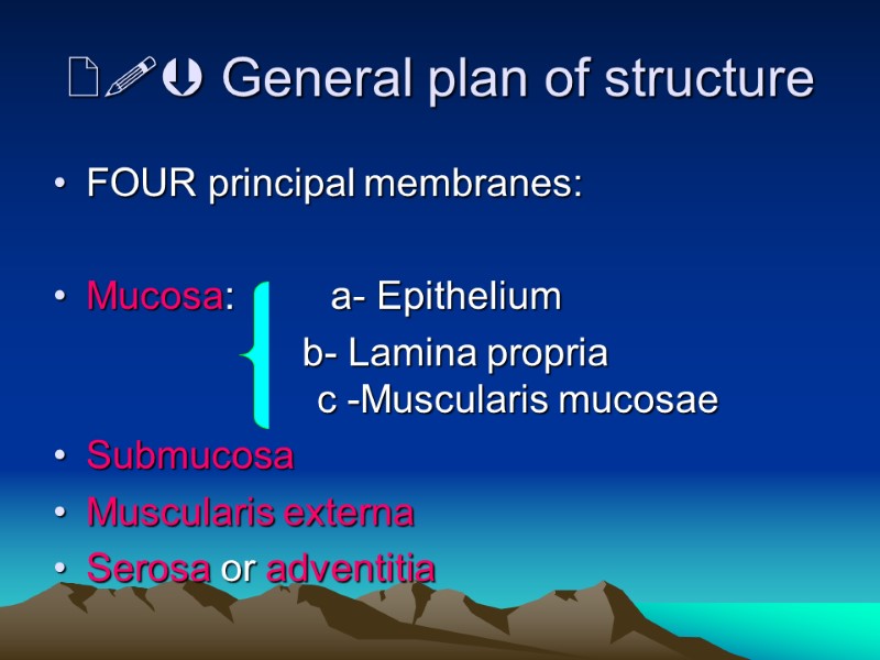  General plan of structure FOUR principal membranes:  Mucosa:    